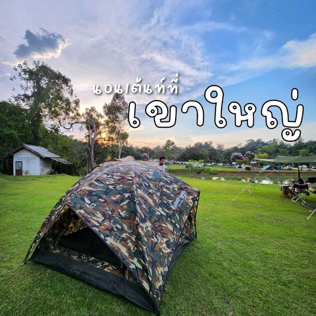 จุดกางเต็นท์เขาใหญ่ นอนท่ามกลางน้อนกวาง