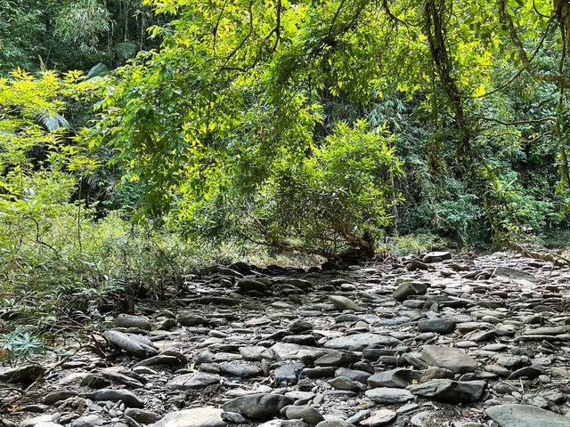 ประสบการณ์การเดินป่าใต้ | ระนอง🌳🏔️