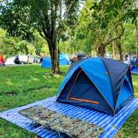 An awesome campsite with beautiful wildlife and landscape 🌿🦌🍃🦋🌳🐒