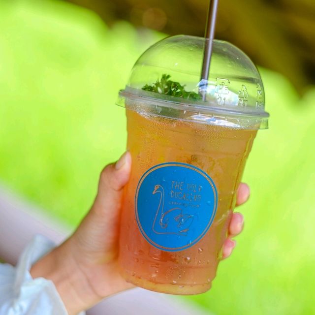 ไปเที่ยวคาเฟ่บรรยากาศดีๆที่มีน้องๆสัตว์น่ารักๆกัน