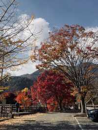 Lake Saiko จุดพักรถแวะถ่ายรูป 📸🏔️