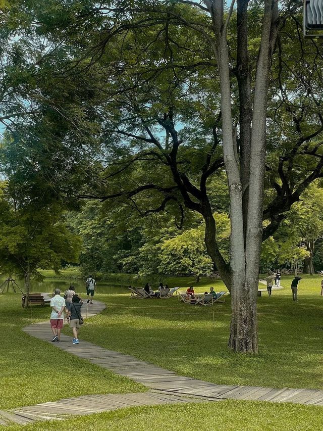 Mulberry mellow | Kanchanaburi, Thailand