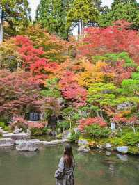 【滋賀】湖東三山最古のお寺で絶景紅葉