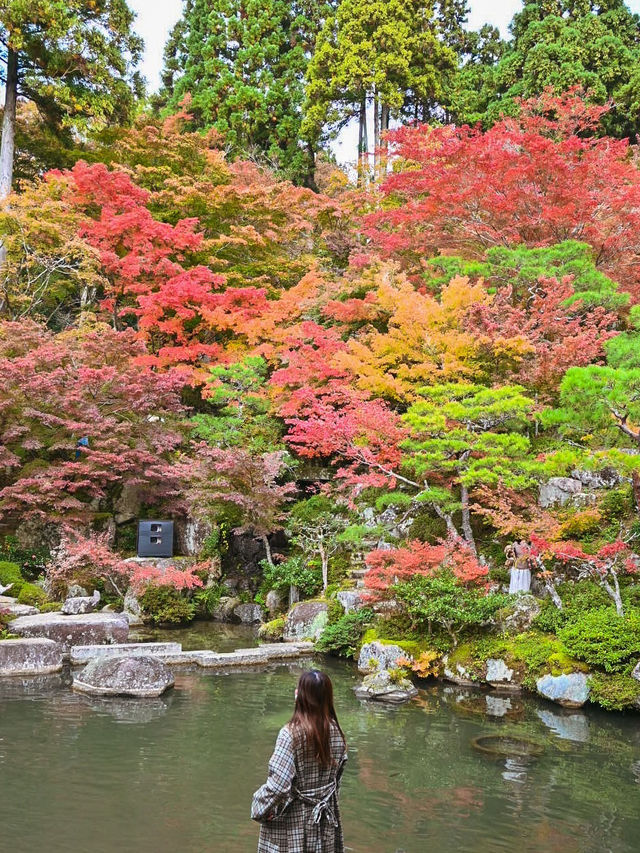 【滋賀】湖東三山最古のお寺で絶景紅葉