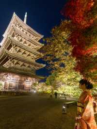 \紅葉のライトアップ/京都と言えばまずはここ！「東寺」夜間特別拝観とは？？？