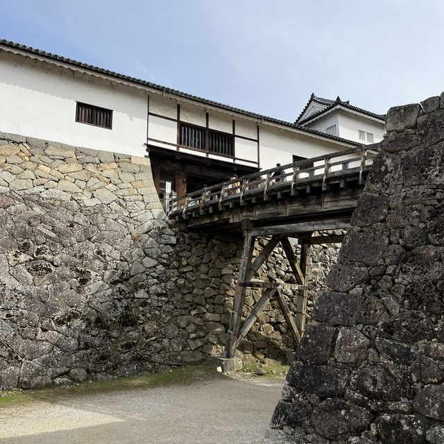 国宝【彦根城🏯】