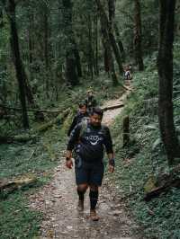 Mardi Himal 