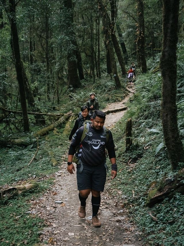 Mardi Himal 