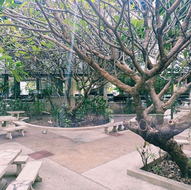 泰國曼谷大學校園景點:Ramkhamhaeng University，特色湖心廟宇建築，適合拍照📸打卡親子遊