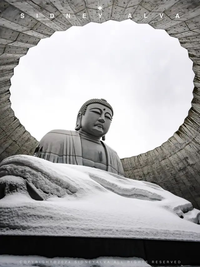 🗿頭大佛|札幌不可錯過的靜謐禪境
