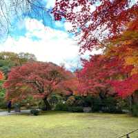 慶沢園：紅葉盛宴 🍁⛩️