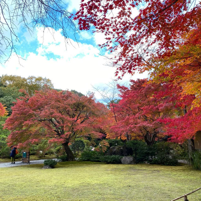 慶沢園：紅葉盛宴 🍁⛩️