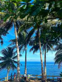 Bohol: A Tropical Paradise of Natural Wonders and Wildlife
