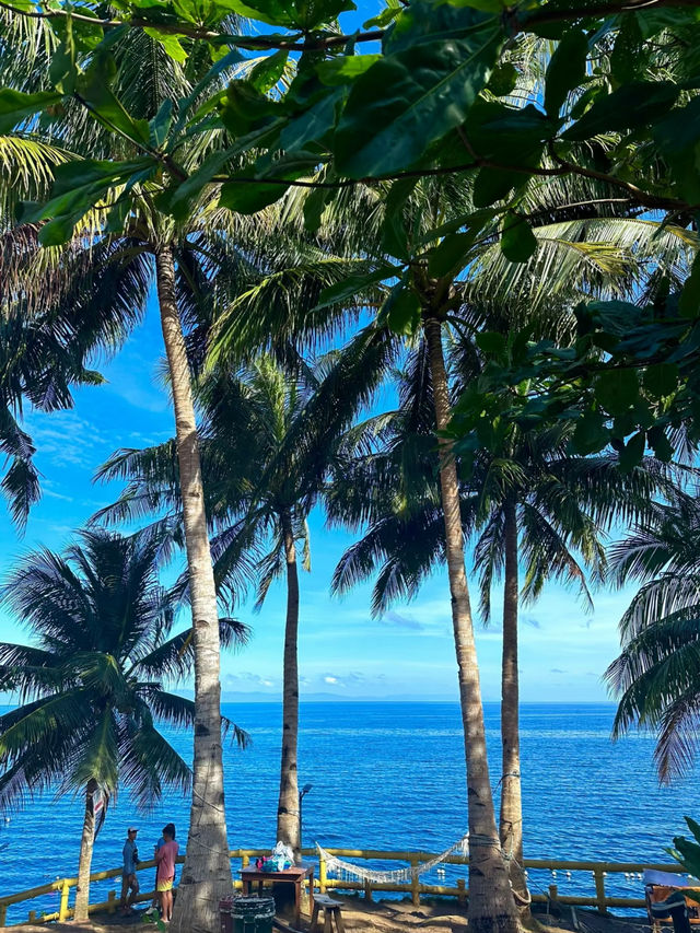 Bohol: A Tropical Paradise of Natural Wonders and Wildlife