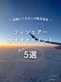 【フィンランド】フィンエアー搭乗記とおすすめポイント紹介