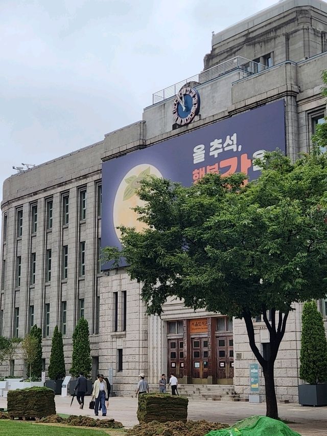 도심 속 잔디밭에서 느끼는 여유, 서울시청광장