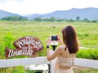 ลานโอบรักแคมป์ปิ้ง & Tree’N Bear Cafe