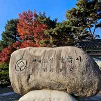 韓國大邱_Bulguksa 불국사 佛國寺_韓國國寶502號
