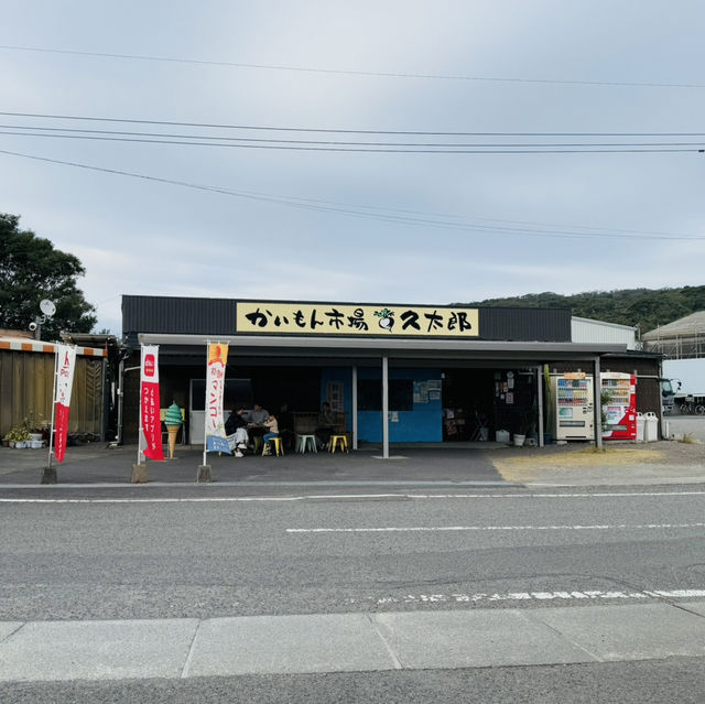 指宿：从长崎鼻去JR最南站打卡