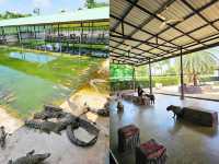 ศรีอยุธยา ไลอ้อน ปาร์ค: สวนสัตว์ซาฟารีในอยุธยา