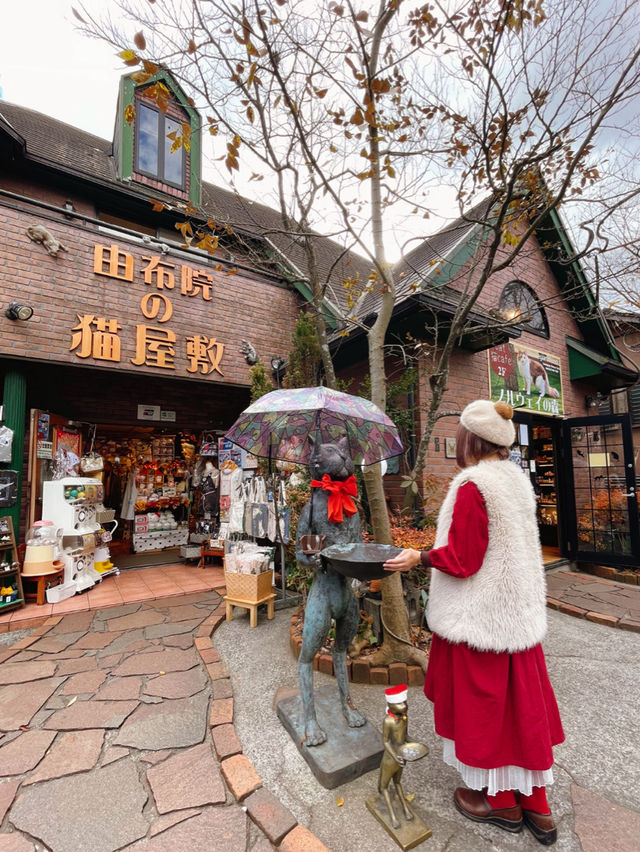 大分観光😊観光に人気のスポット😊✨湯の坪街道✨