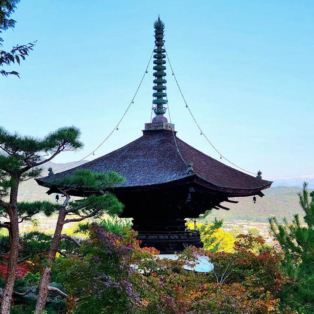 泉岳寺🪻靜謐的禪意