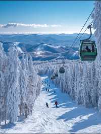 Niseko Skiing: A Powder Paradise in Hokkaido 