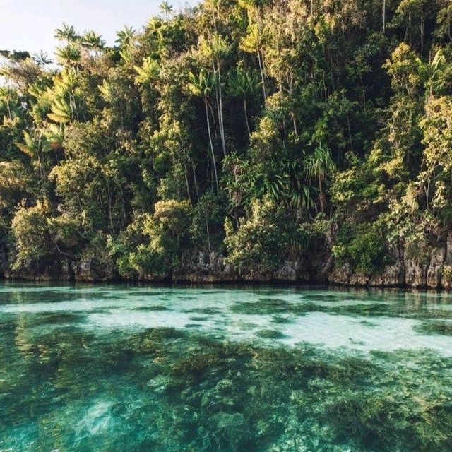Raja Ampat Islands