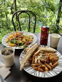 Cafe restaurant surrounded by nature🦜