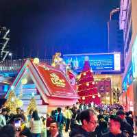 年底跟著聖誕樹一起，出境看各地美樹