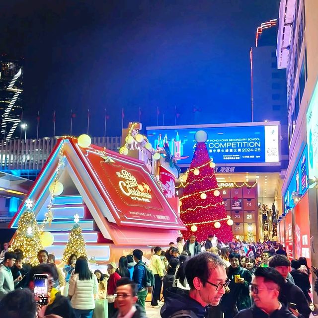 年底跟著聖誕樹一起，出境看各地美樹