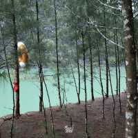 เหมืองหินถ้ำทองหลาง