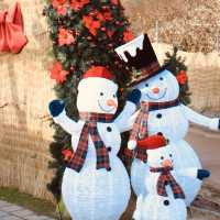 Where Nature Meets Festive Elegance