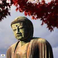 Kamakura Daibatsu