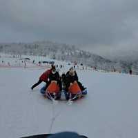 ฮาร์บิ้น ไปเองไม่ง้อทัวร์ แต่ง้อtrip.com