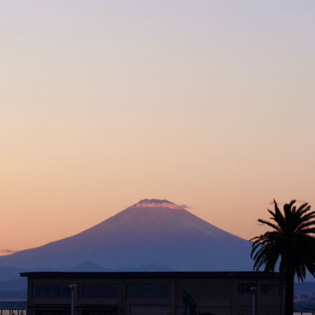 【冬の鎌倉】一日観光 江ノ島からは富士山