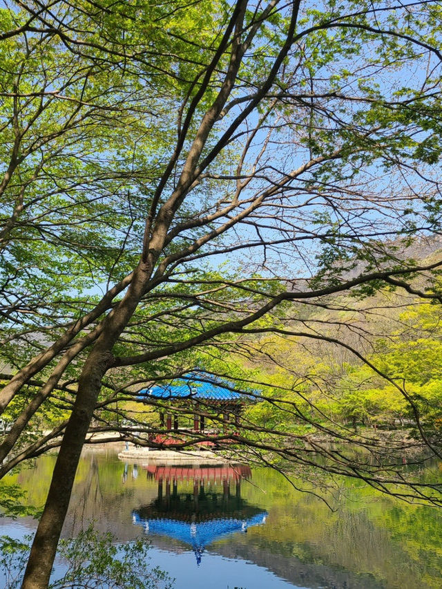 내장산
