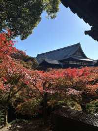 京都へ行こう！京都の紅葉🍁【東福寺】