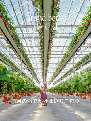 1 月的出遊行程，就是採草莓！Grandberry 大地的空中草莓園究竟是什麼？！