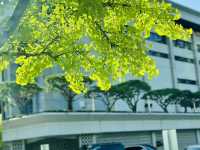 สวนสาธารณะที่น่าเดทที่สุดในกรุงโซล