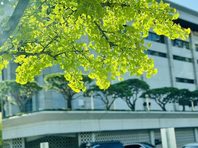 สวนสาธารณะที่น่าเดทที่สุดในกรุงโซล