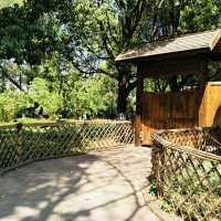Discovering the Heart of Yunnan’s Heritage