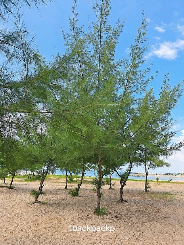 หาดแสงจันทร์ นึกว่า เรามาเที่ยว Busan เกาหลี 🏖🎶