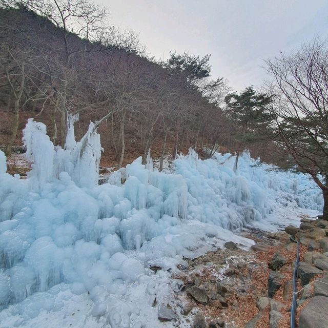 겨울왕국이 따로 없는 비슬산 얼음동산❄️