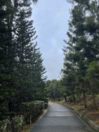 Taman Saujana Hijau: A Tranquil Escape Amidst Nature’s Beauty 🌳🌺
