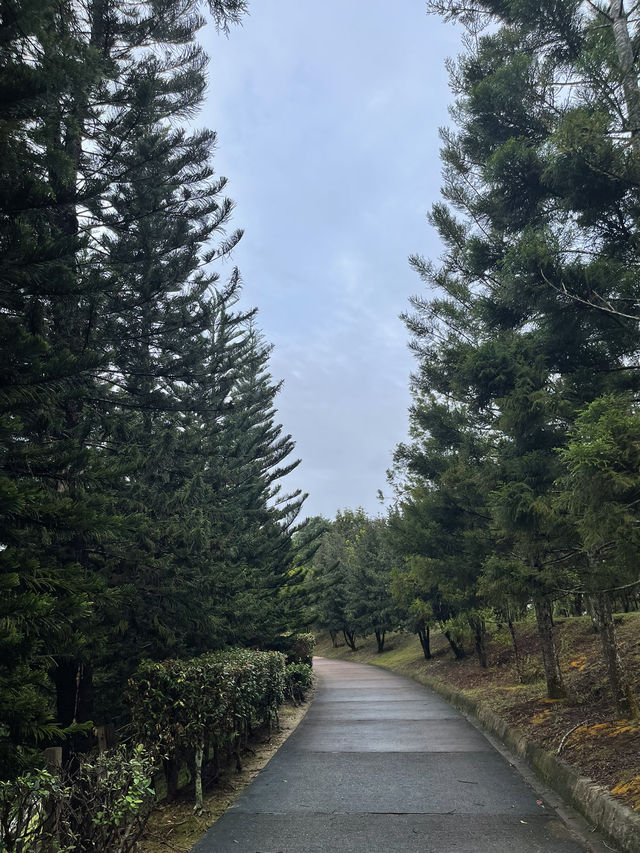 Taman Saujana Hijau: A Tranquil Escape Amidst Nature’s Beauty 🌳🌺