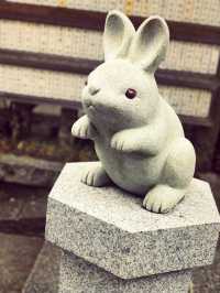 【京都】“うさぎ神社”で縁結び＆子授け祈願🐇✨