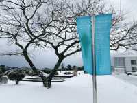 ❄️☃️🧤 제주 겨울의 기억 속 한 장면