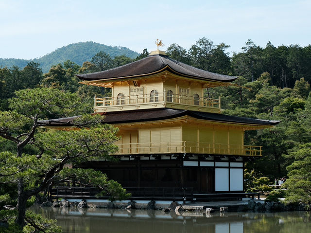漫步金閣寺：靜謐與美的極致體驗