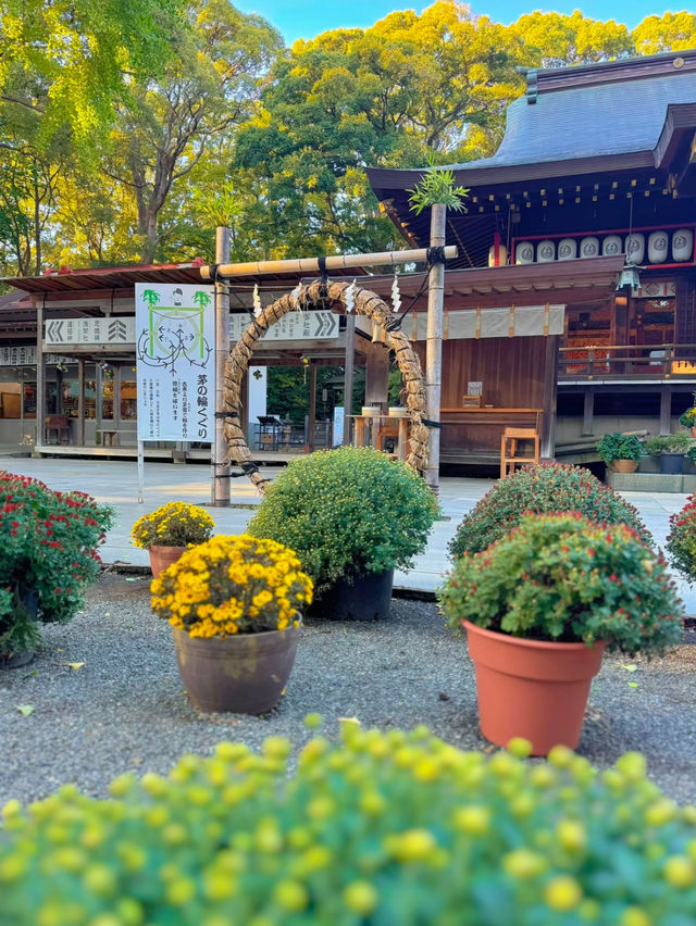 【神奈川】馬好きさんはここ行って🐴ご利益たくさんなパワースポット